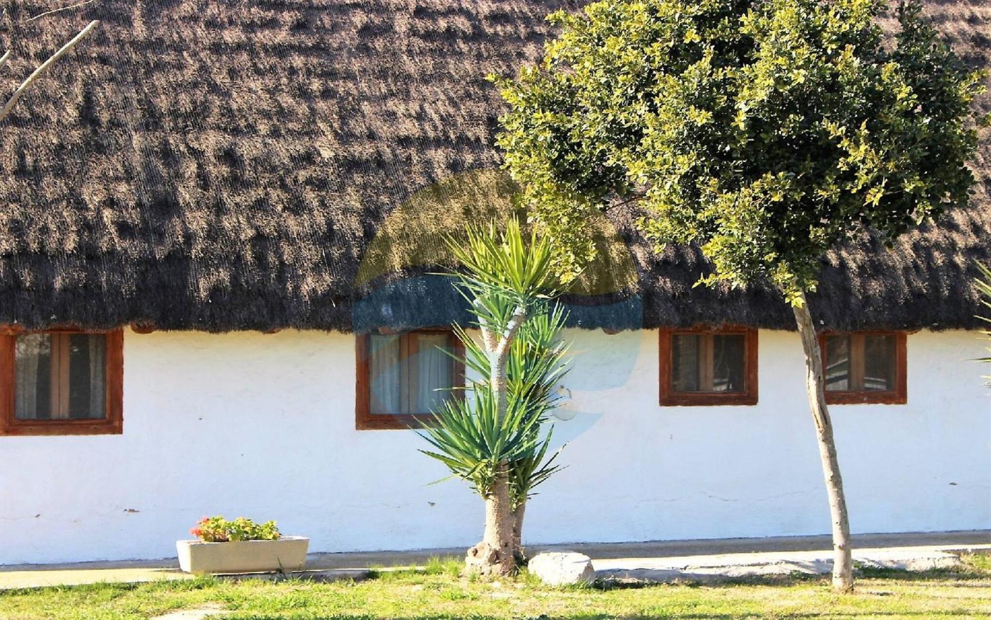 Villa Barraca Tipica Del Delta, Con Piscina, Jardin Y Barbacoa - Deltavacaciones Sant Jaume d’Enveja Exterior foto